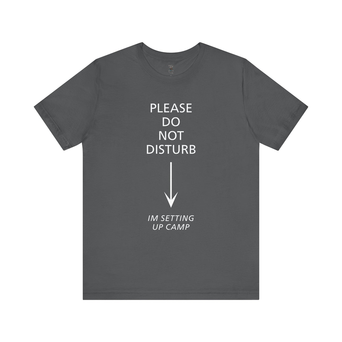 Camping Vibes Unisex Tee Please Do Not Disturb, Bella+Canvas 3001