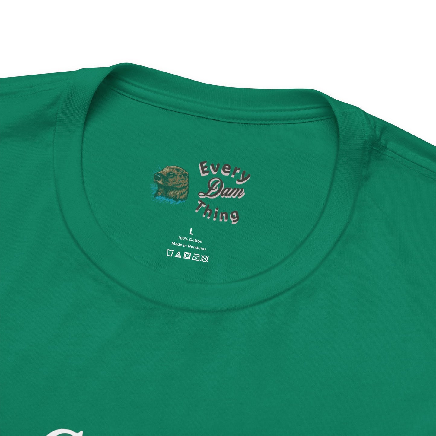 Motivational Quote T-Shirt - You Can't Succeed at Anything, Bella Canvas 3001