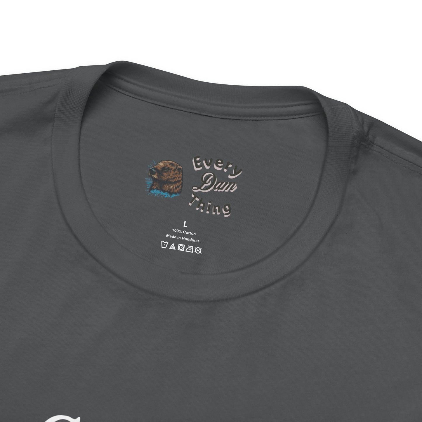 Motivational Quote T-Shirt - You Can't Succeed at Anything, Bella Canvas 3001