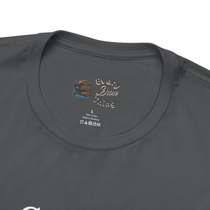 Motivational Quote T-Shirt - You Can't Succeed at Anything, Bella Canvas 3001